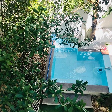 Cozy Tiny Studio Acasadialexplayadelcarmen Playa del Carmen Exterior foto