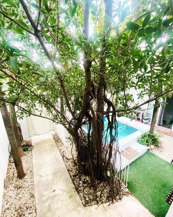 Cozy Tiny Studio Acasadialexplayadelcarmen Playa del Carmen Exterior foto
